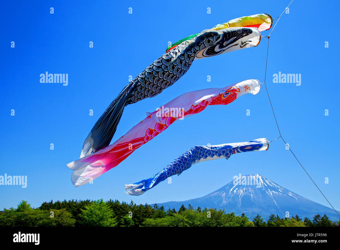 Coloratissimi aquiloni di carpa Koinobori contro un cielo azzurro limpido negli altopiani di Asagiri con il Monte Fuji sullo sfondo in Giappone Foto Stock