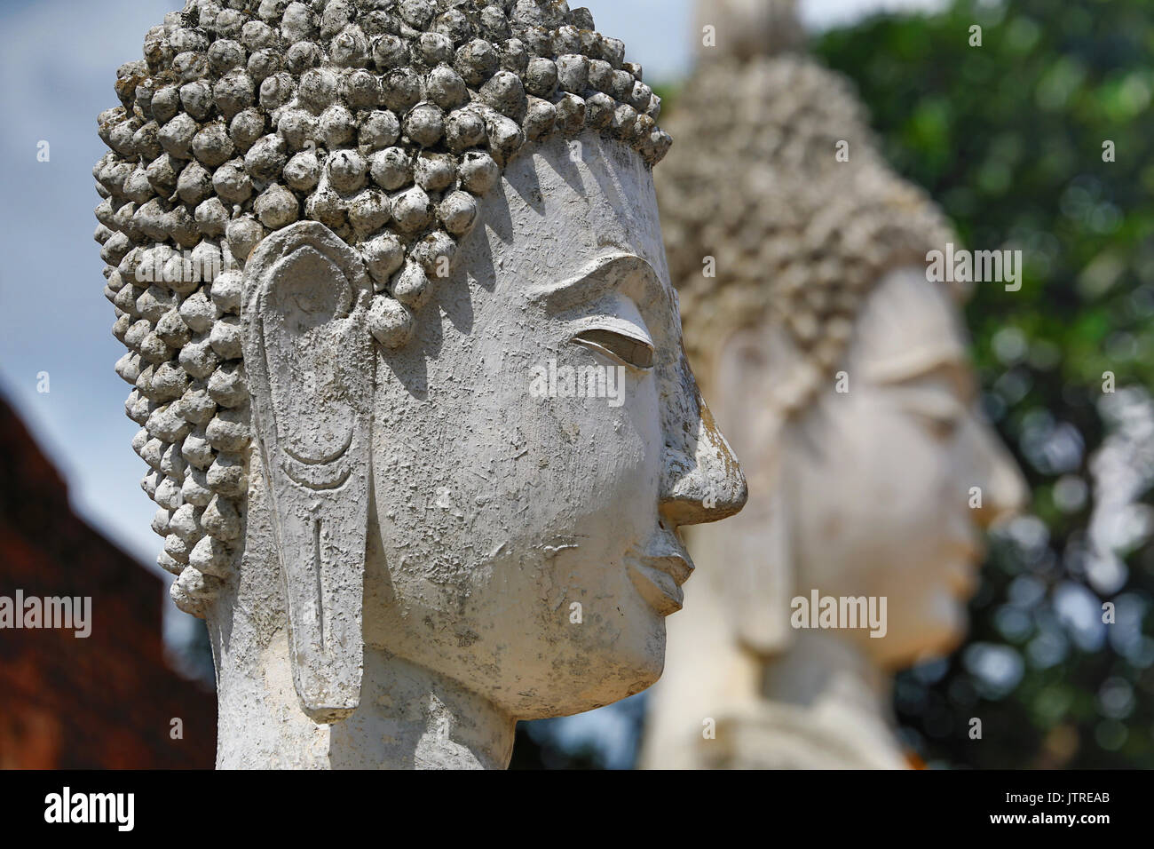 Fila di statue di Buddha di Wat Yai Chaimongkol tempio, Ayutthaya, Thailandia Foto Stock