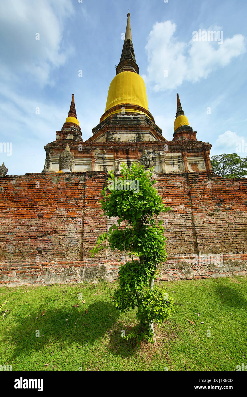 Rovine del chedi di Wat Yai Chaimongkol tempio, Ayutthaya, Thailandia Foto Stock