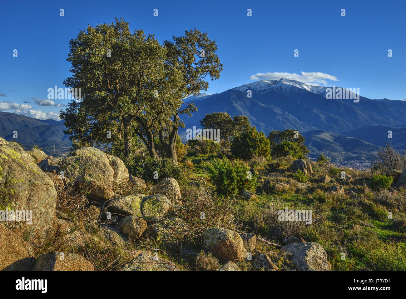 Mt Canigou, la montagna sacra dei Catalani, presi dalle colline sopra Prades vicino al N116 road, nei Pirenei orientali, Occitanie, Francia. Foto Stock