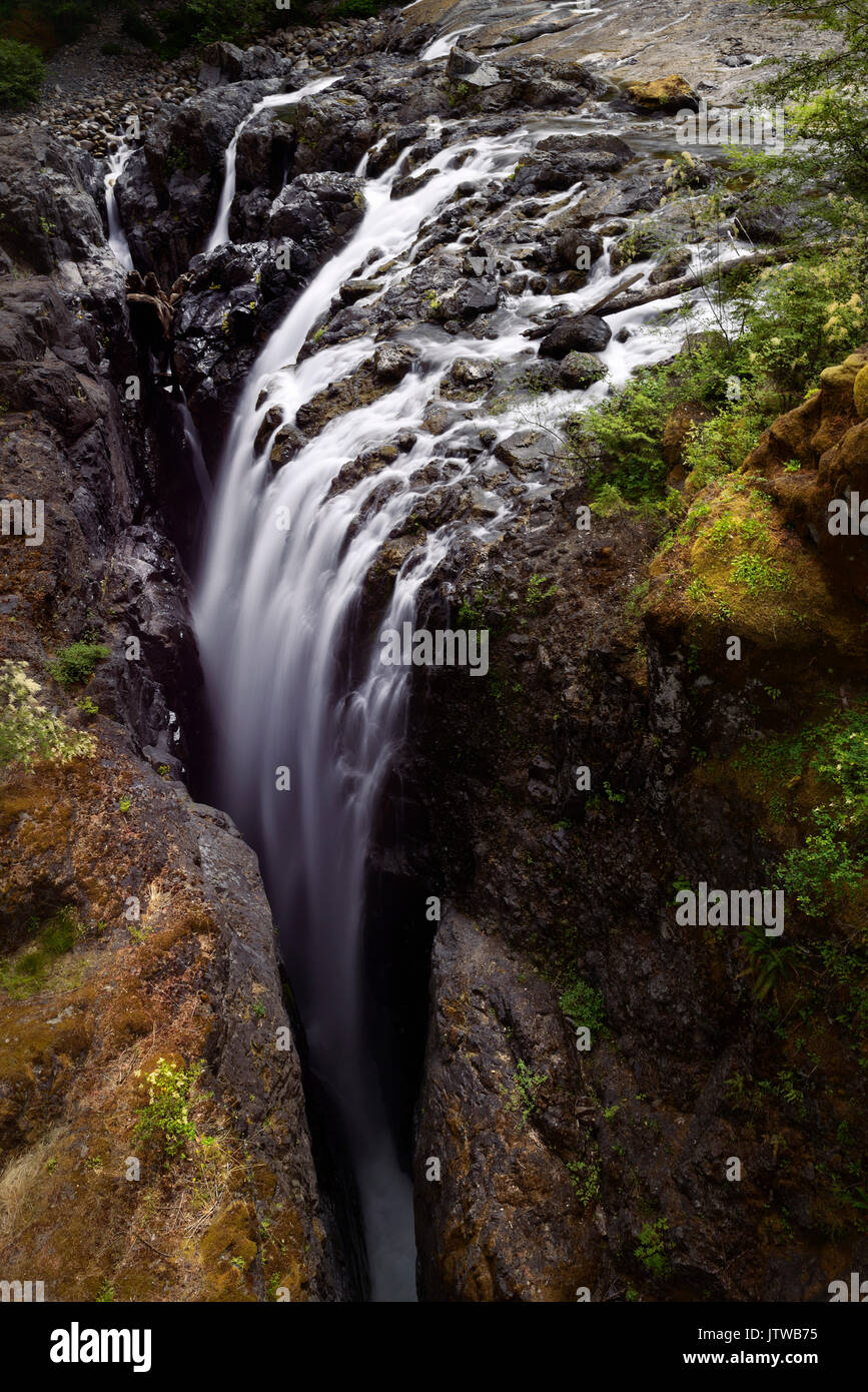 Cascata in inglese River Falls Parco Provinciale. Errington, Isola di Vancouver, BC, Canada Foto Stock