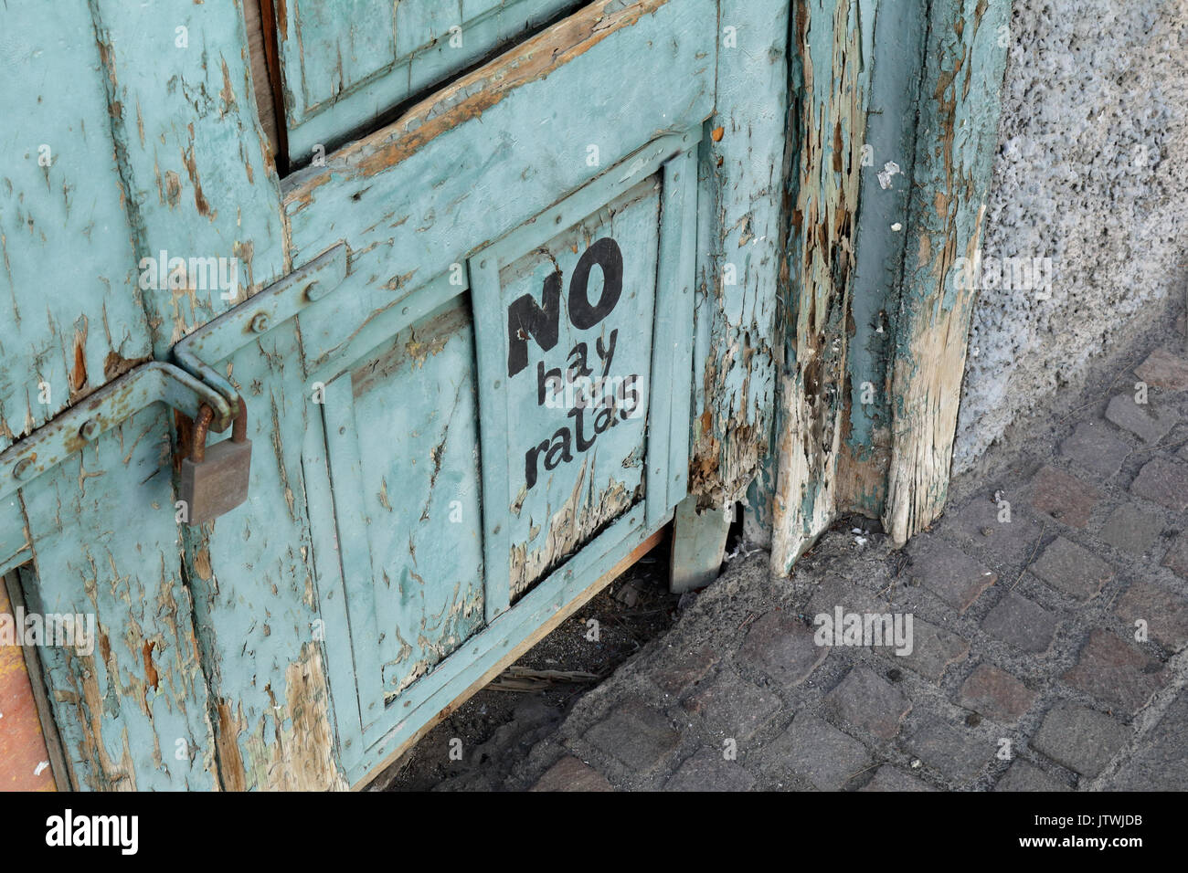 'Non ci sono dei ratti spagnolo la scrittura su una vecchia porta di azure a Santa Cruz de Tenerife, Spagna Foto Stock