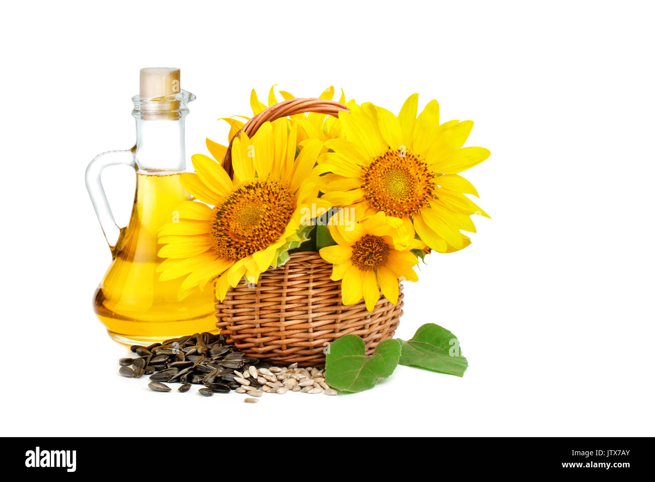 Bellissimi fiori di girasole in un cestello di rustico e di olio di semi di girasole su uno sfondo bianco. Un oggetto isolato. Foto Stock