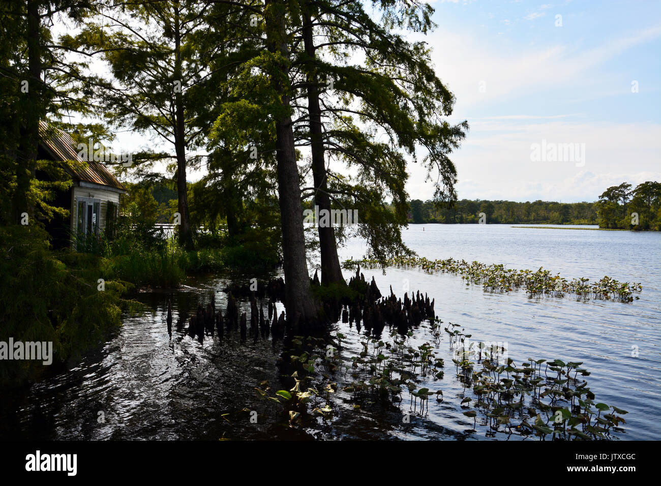 Il Perquiman il fiume è alimentato dalle zone umide paludose e fluisce attraverso la piccola cittadina di Hertford, North Carolina su di esso in un'Albemarle Sound. Foto Stock