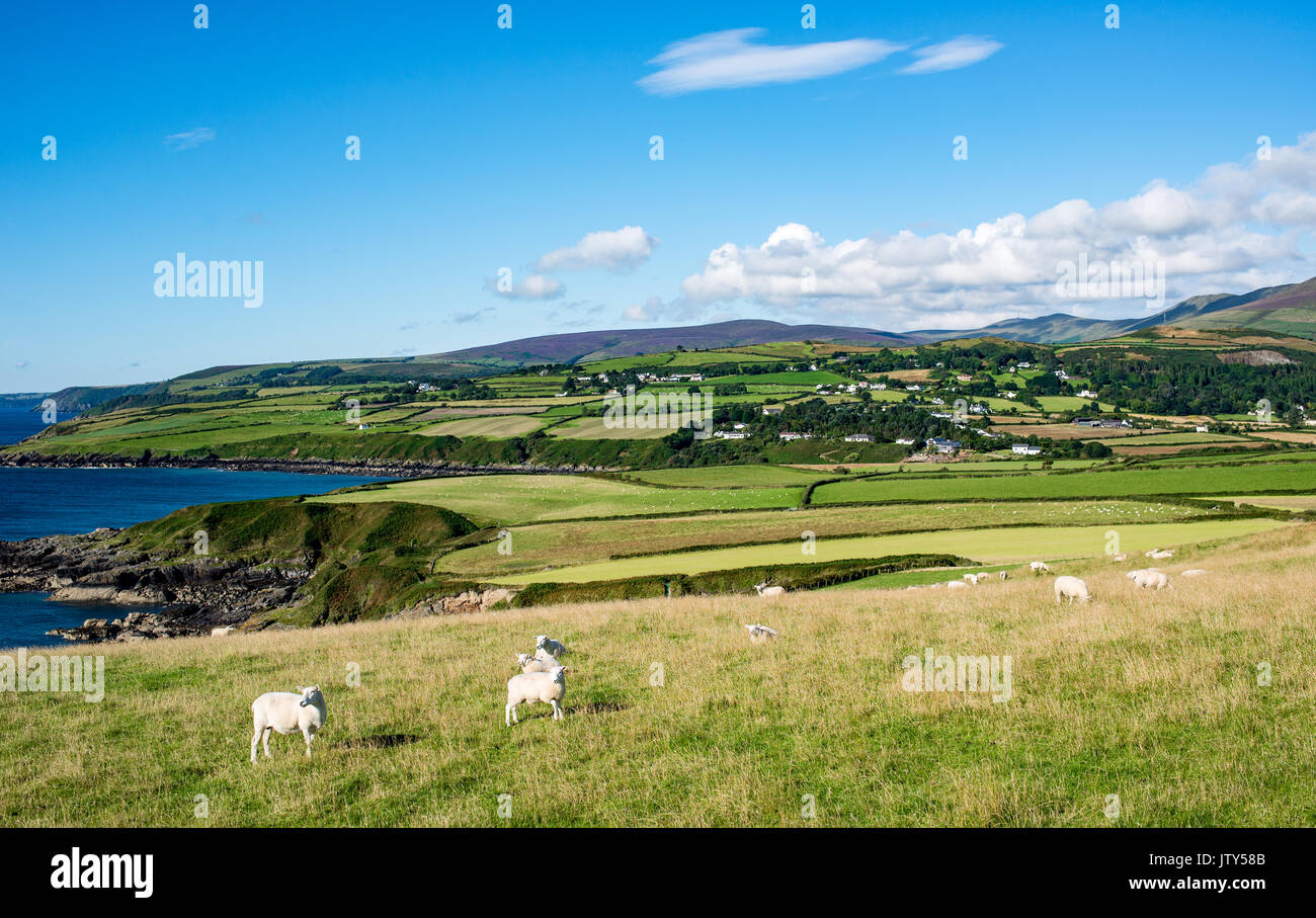 Testa Maughold, vista verso le colline Foto Stock
