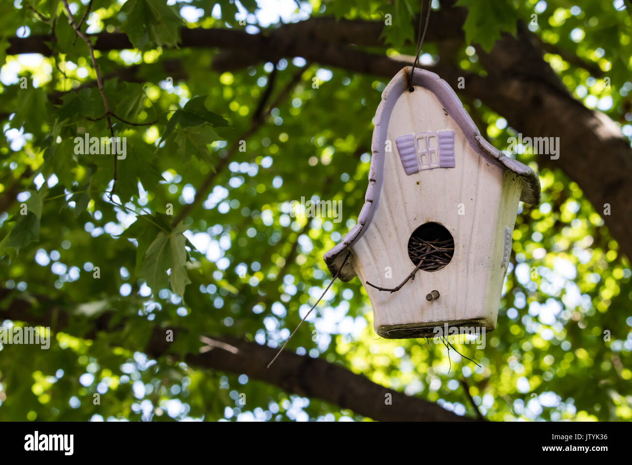 Il vecchio bianco e viola birdhouse appeso a un albero Foto Stock