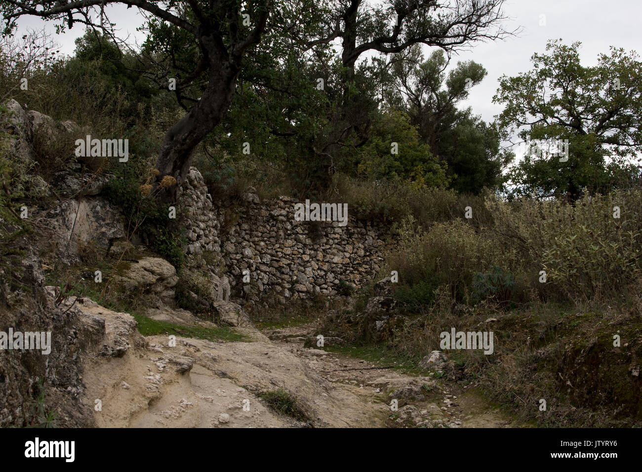 Un antica strada conduce dall'ingresso del luogo romano Eleutherna in creta centrale verso il basso per le cisterne di epoca romana. Eine alte Straße"führt vom E Foto Stock