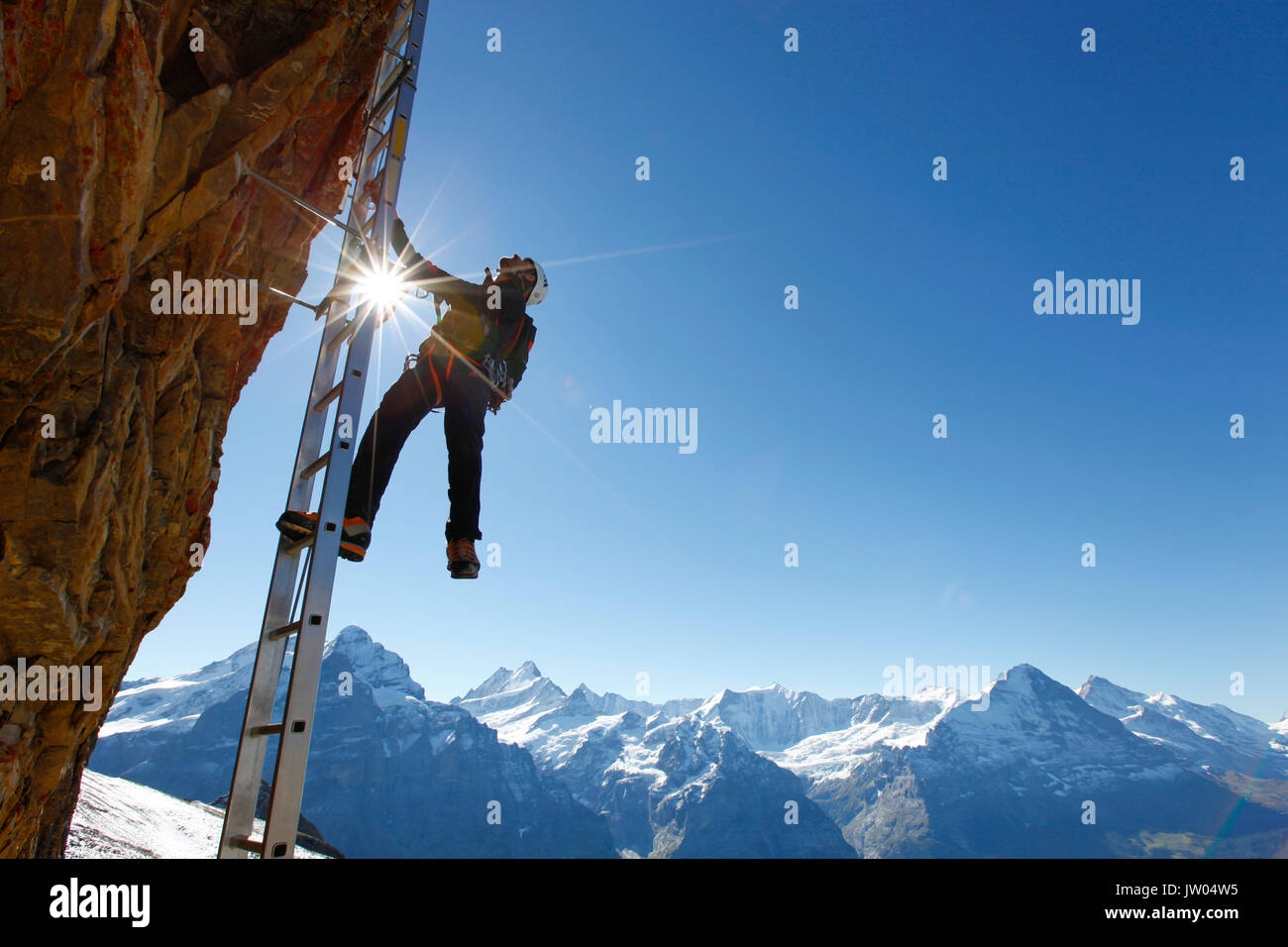 Uno scalatore su una scaletta della Klettersteig alla sommità del corno Nero, una montagna sopra Grindelwald nelle Alpi Svizzere. Foto Stock