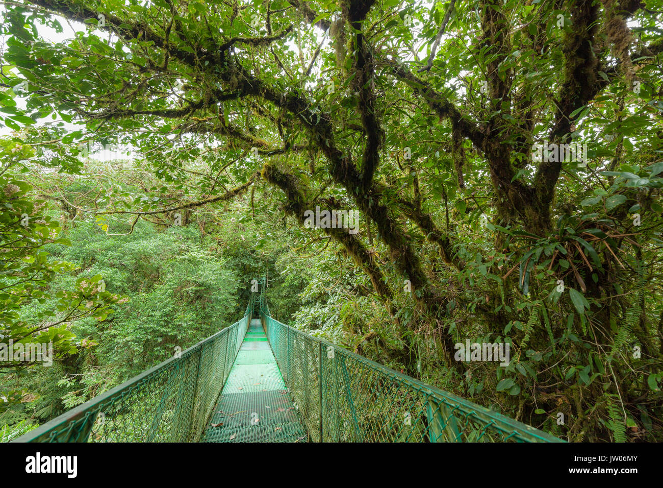 A sospensione ponte in Monteverde Cloud Forest Riserve Costa Rica Foto Stock