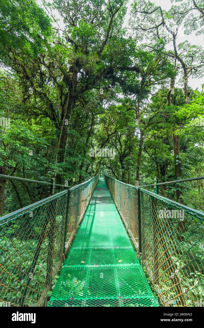 A sospensione ponte in Monteverde Cloud Forest Riserve Costa Rica Foto Stock