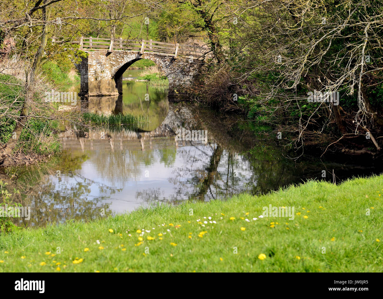 Il packhorse ponte sopra il fiume Frome a Tellisford copre la contea di confine tra Wiltshire e Somerset. (Visto da Wiltshire banca). Foto Stock