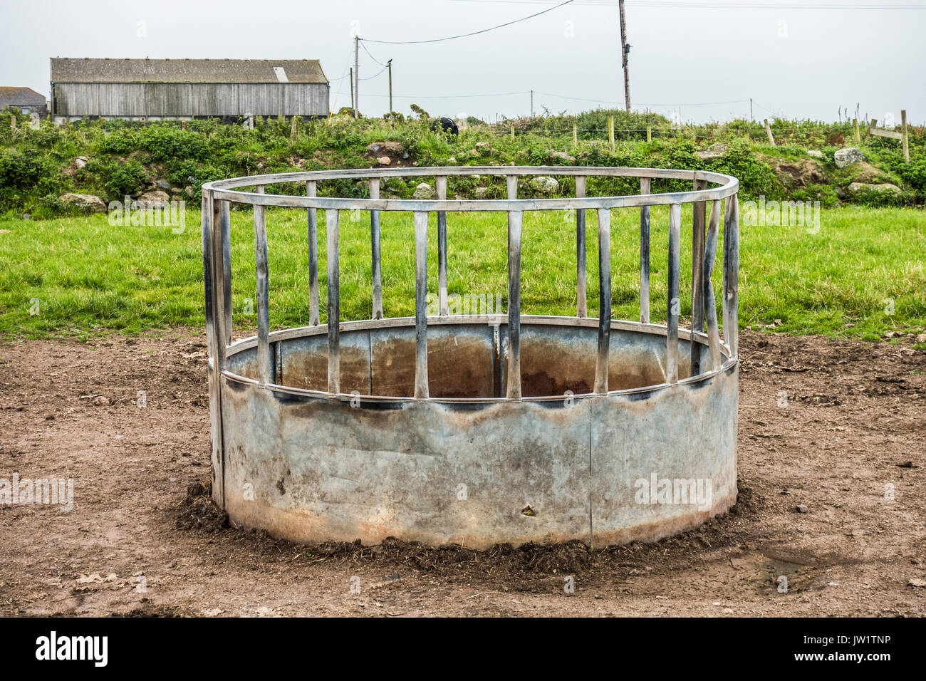 Un grande patrimonio zootecnico zincato alimentatore (principalmente di bovini) in un campo di Sennen Cornwall, Inghilterra, Regno Unito. Foto Stock