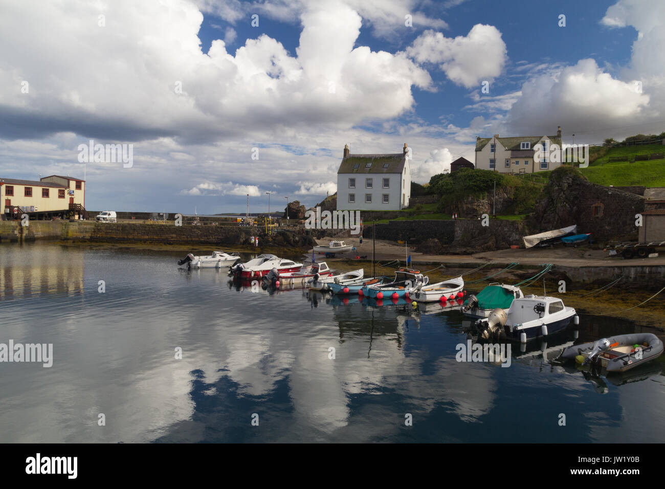 Porto di St Abbs, Scozia Foto Stock