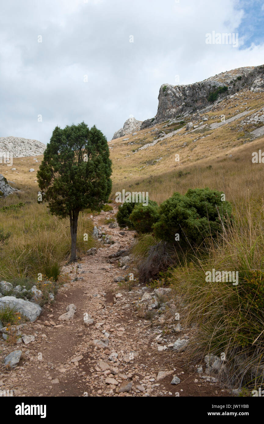 Il GR221 trail nella Serra de Tramuntana montagne, Mallorca, Spagna Foto Stock