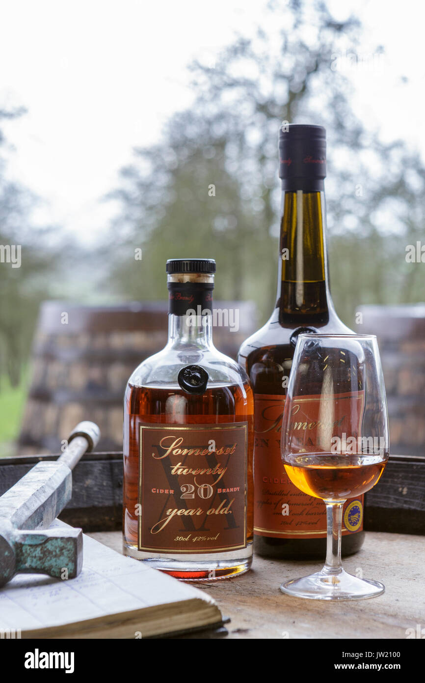 Somerset Acquavite di sidro, Somerset, Regno Unito. 20 anni di Somerset Brandy bottiglia e vetro Foto Stock