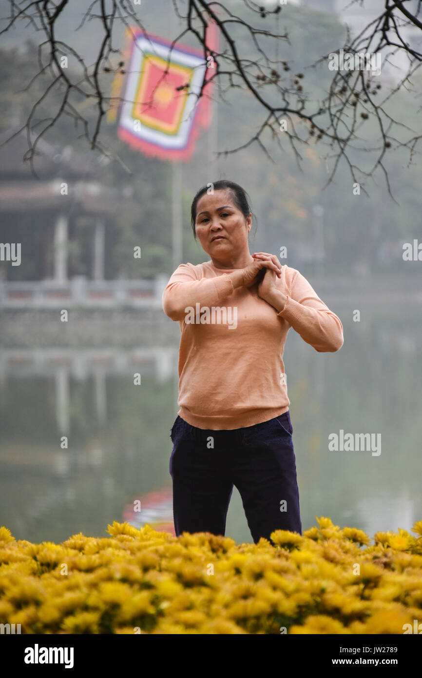 Tai Chi Lady Foto Stock