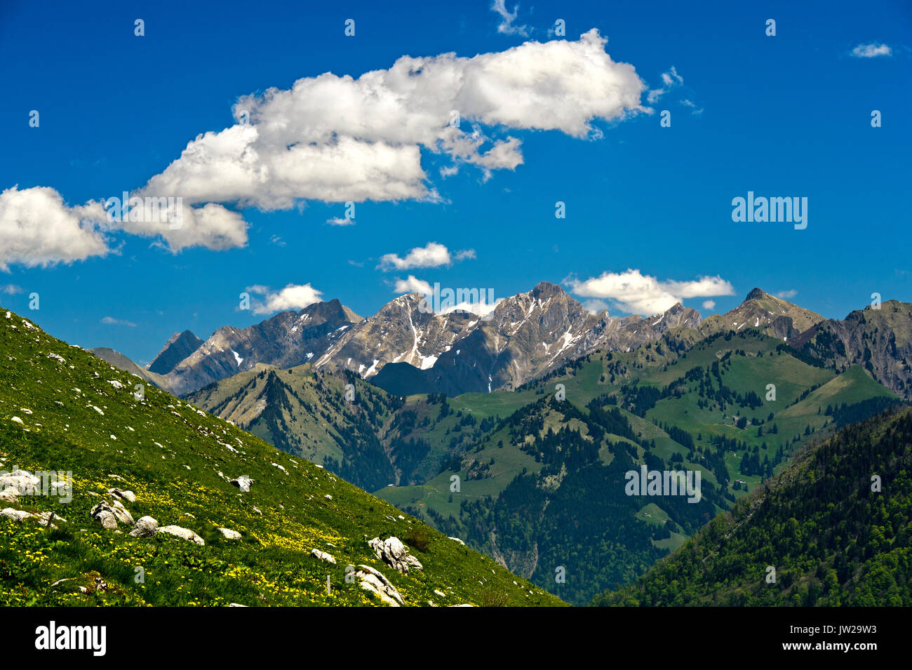 Blick vom passano Col de Jaman Richtung Berner Alpen, Les Avants, Vaud, Schweiz Foto Stock