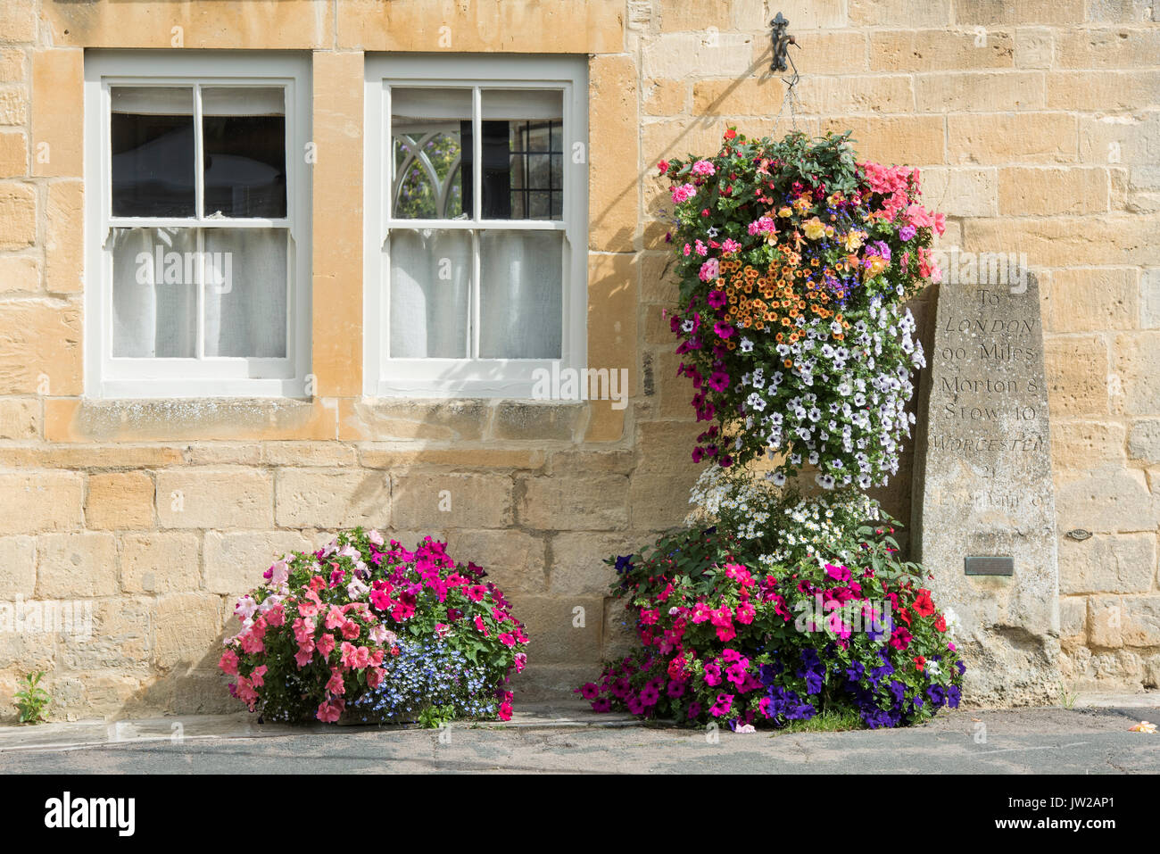 Fiori di petunia in cestelli appesi sulla parte esterna della casa di pietra miliare nel villaggio Costwold di Broadway, Worcestershire, Inghilterra Foto Stock