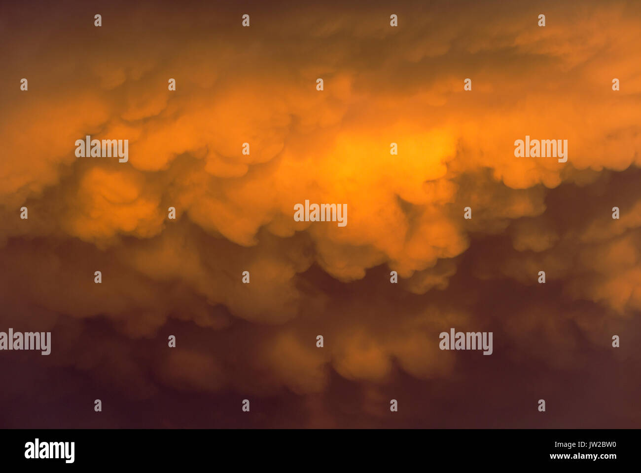 Cumulonimbus cloud in serata durante la stagione delle piogge, Deserto Kalahari, Kgalagadi Parco transfrontaliero, Sud Africa Foto Stock