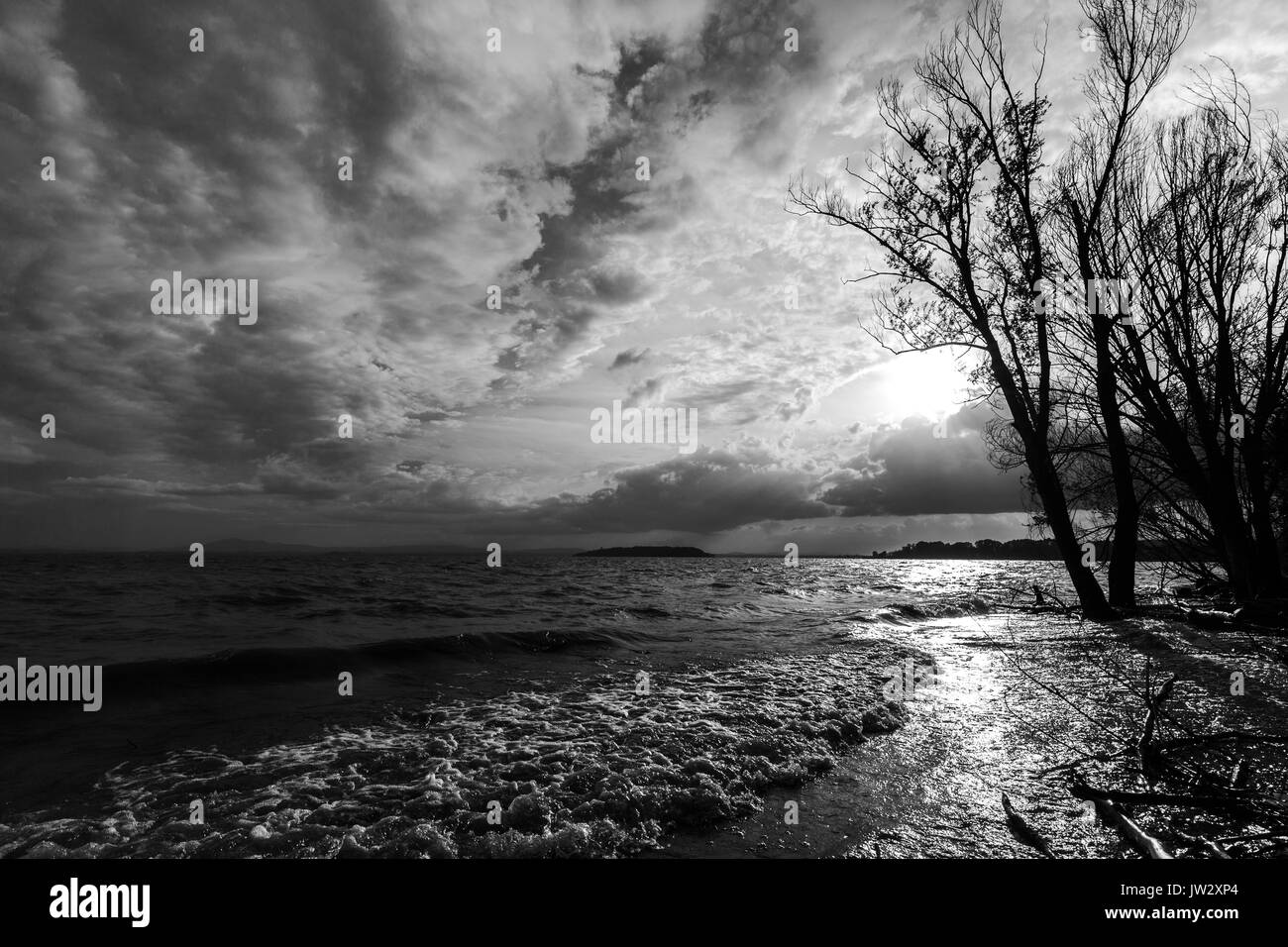 Alberi con retroilluminazione su un lago con Sun in basso sull'orizzonte e onde di acqua Foto Stock