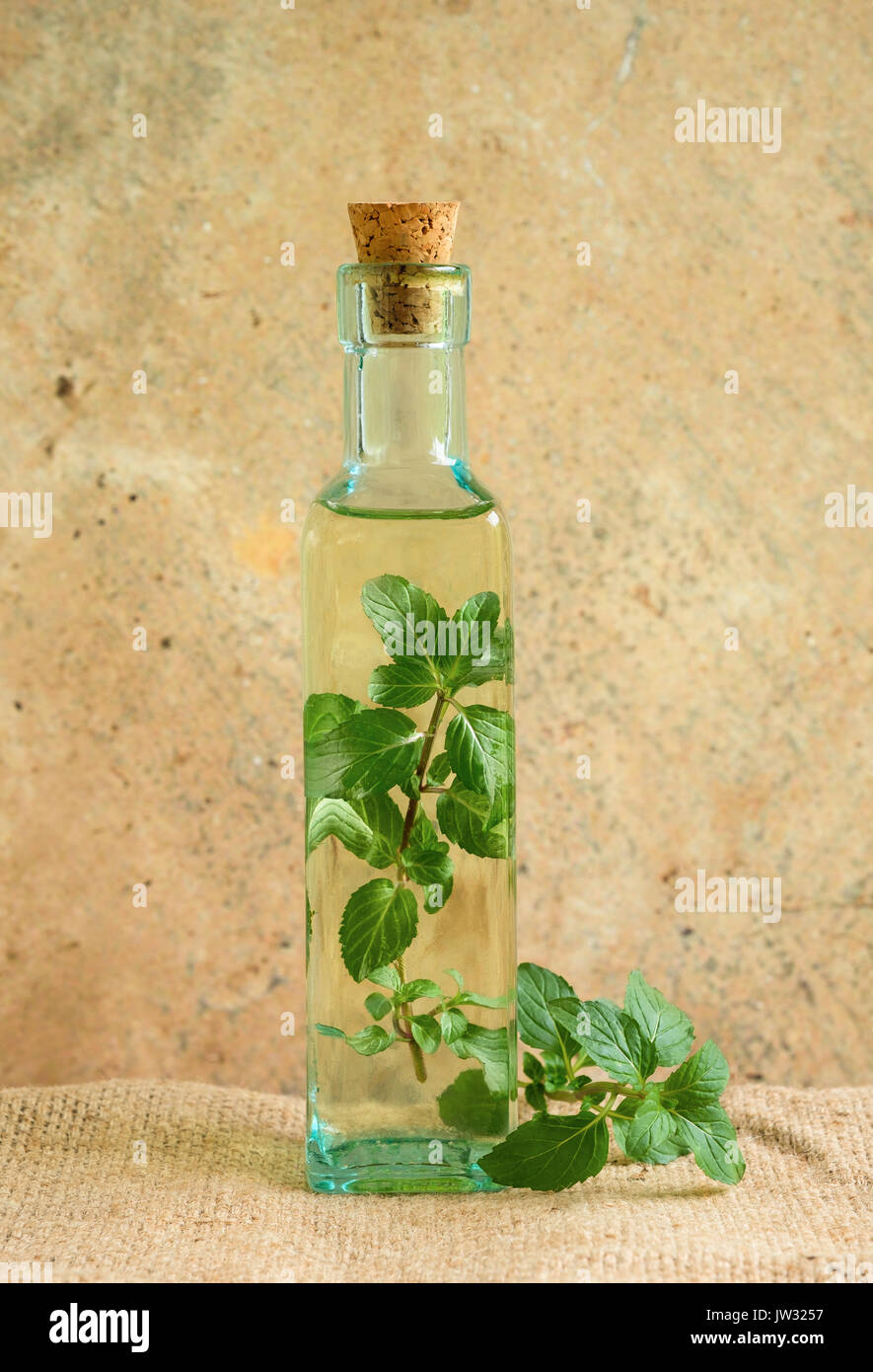 Olio di oliva Bottiglia con foglie di menta Foto Stock