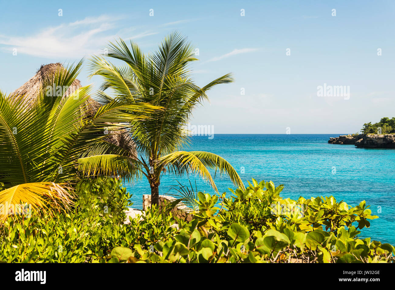 Giamaica Negril, alberi di palma contro seascape Foto Stock