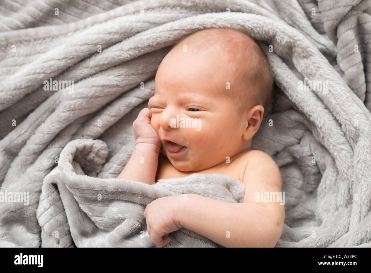 Ritratto di little baby boy (0-1 mesi) avvolto in una coperta Foto Stock