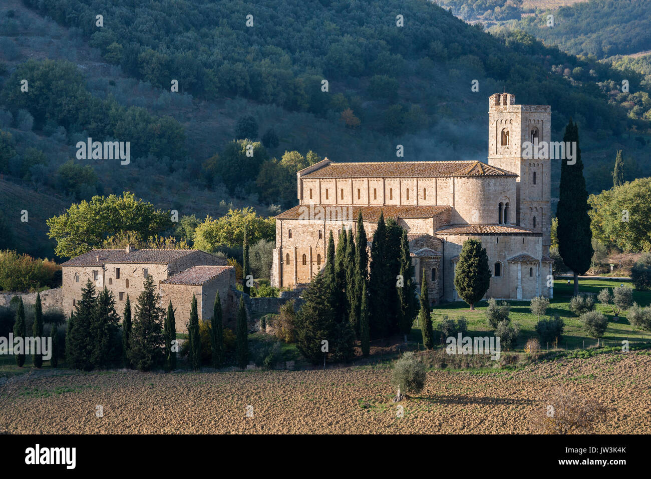 Italia, Toscana, Montalcino, Abbazia di Sant'Antimo vicino Montalcino in luce solare Foto Stock