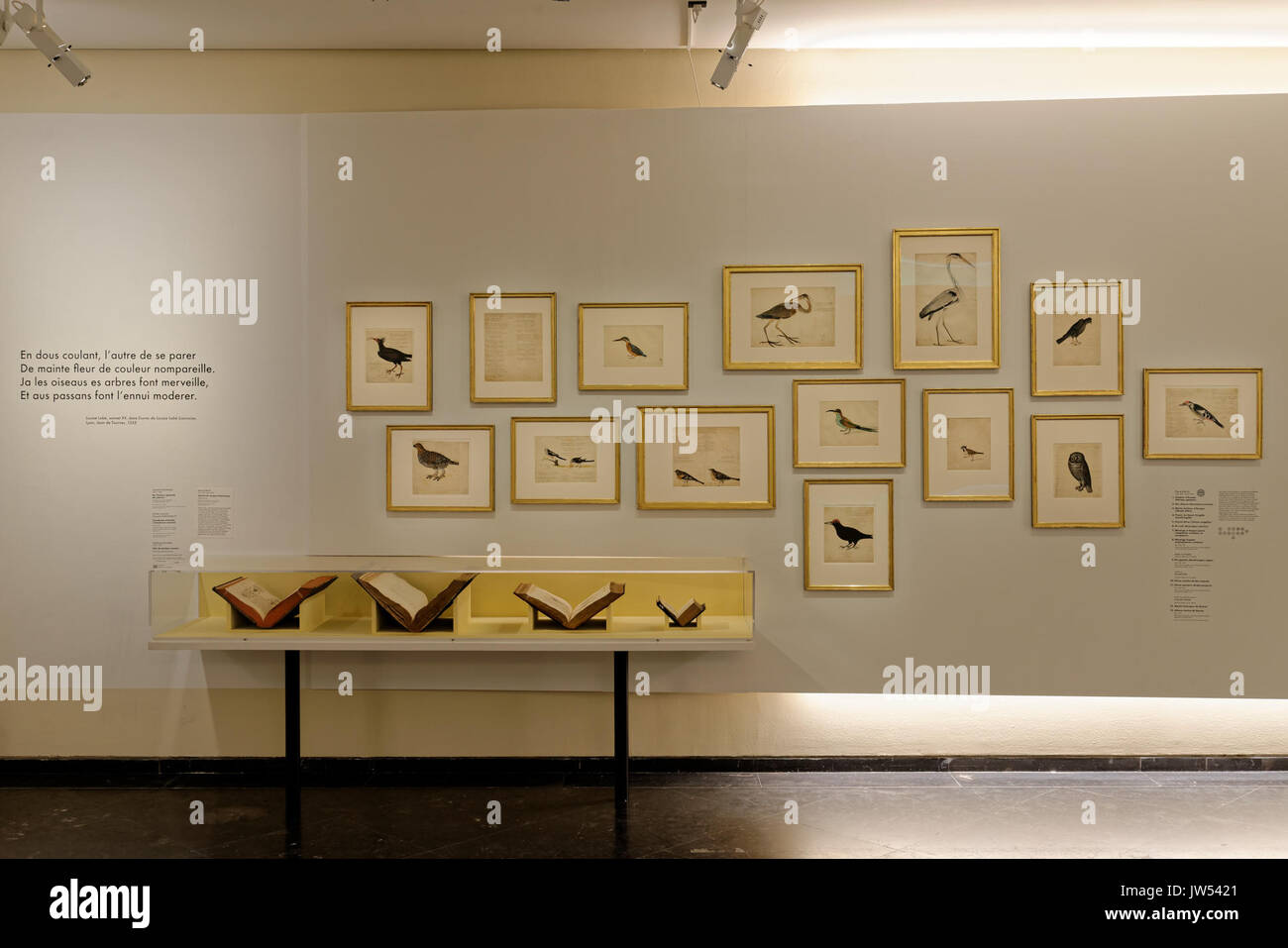 MBA 8558 DSC DxO (8) Foto Stock