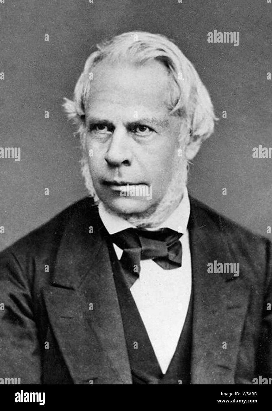 Jakob Henle 5 Foto Stock