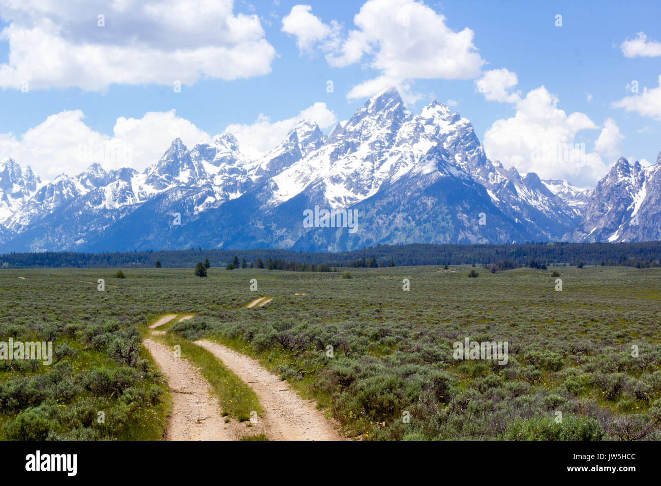 La strada per l'illuminazione Foto Stock