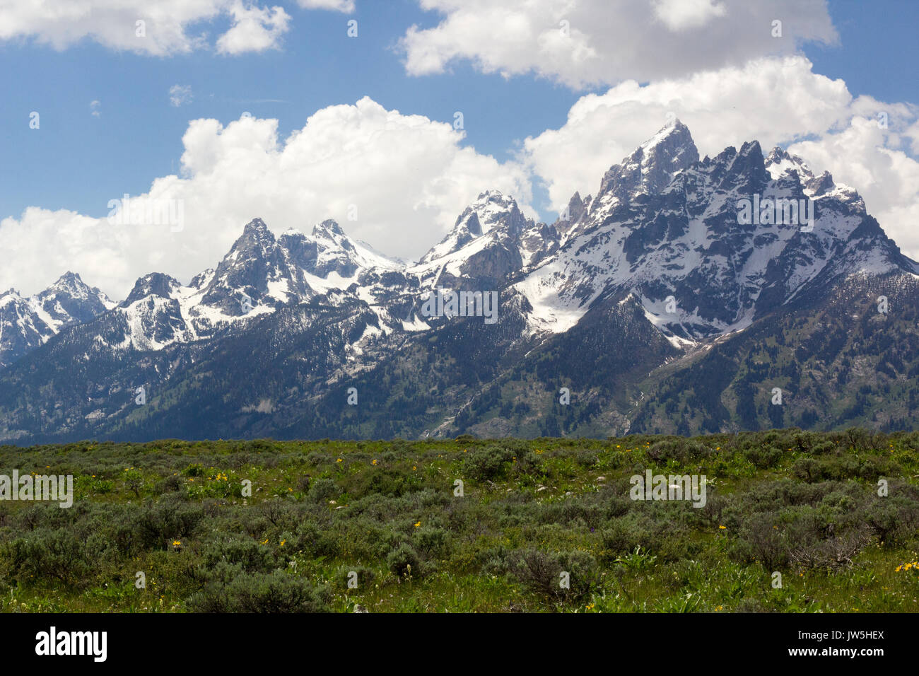 Grand Tetons National Park Foto Stock