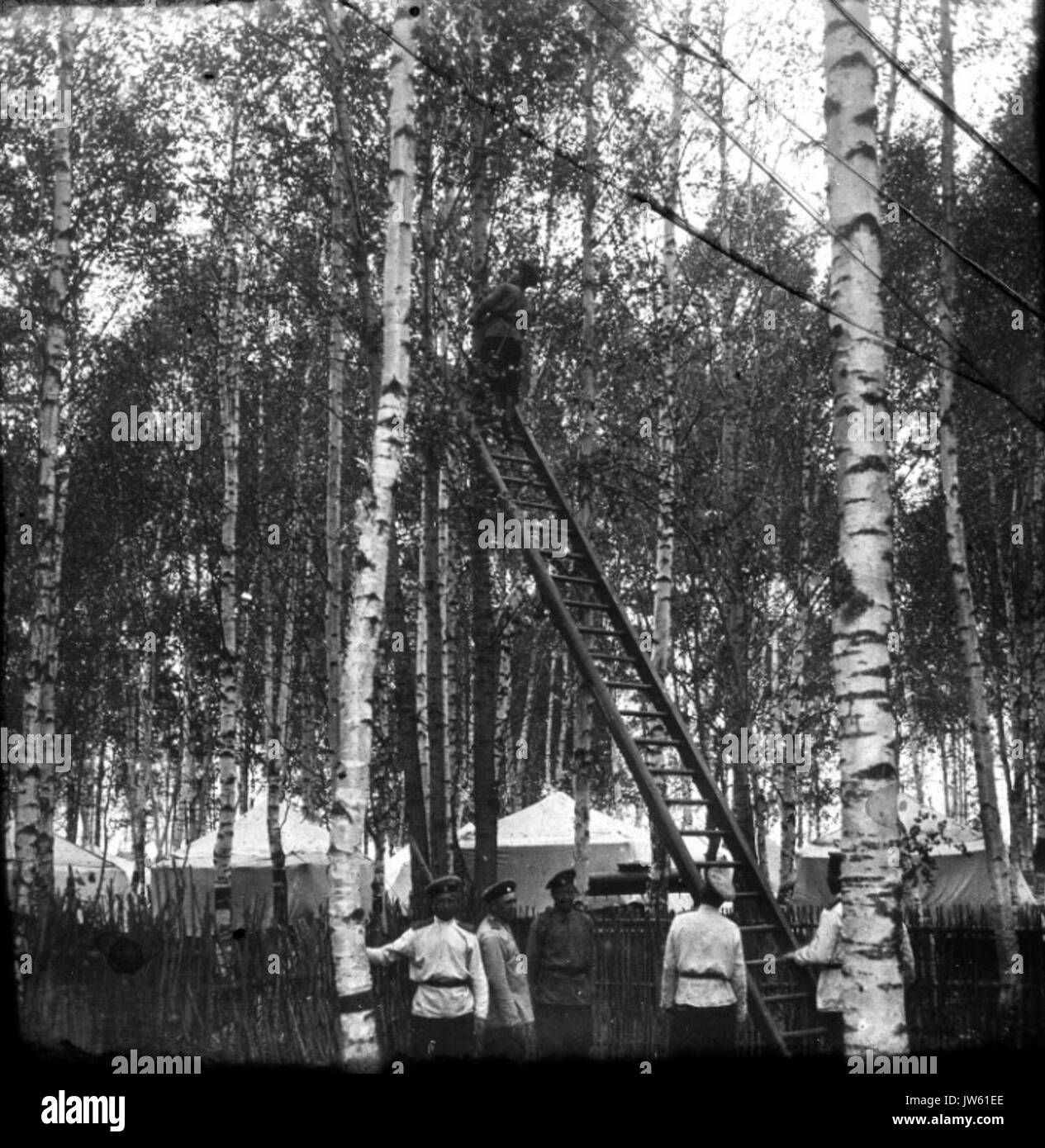 Reggimento Grokhovskiy frammenti di ramoscelli secchi Foto Stock