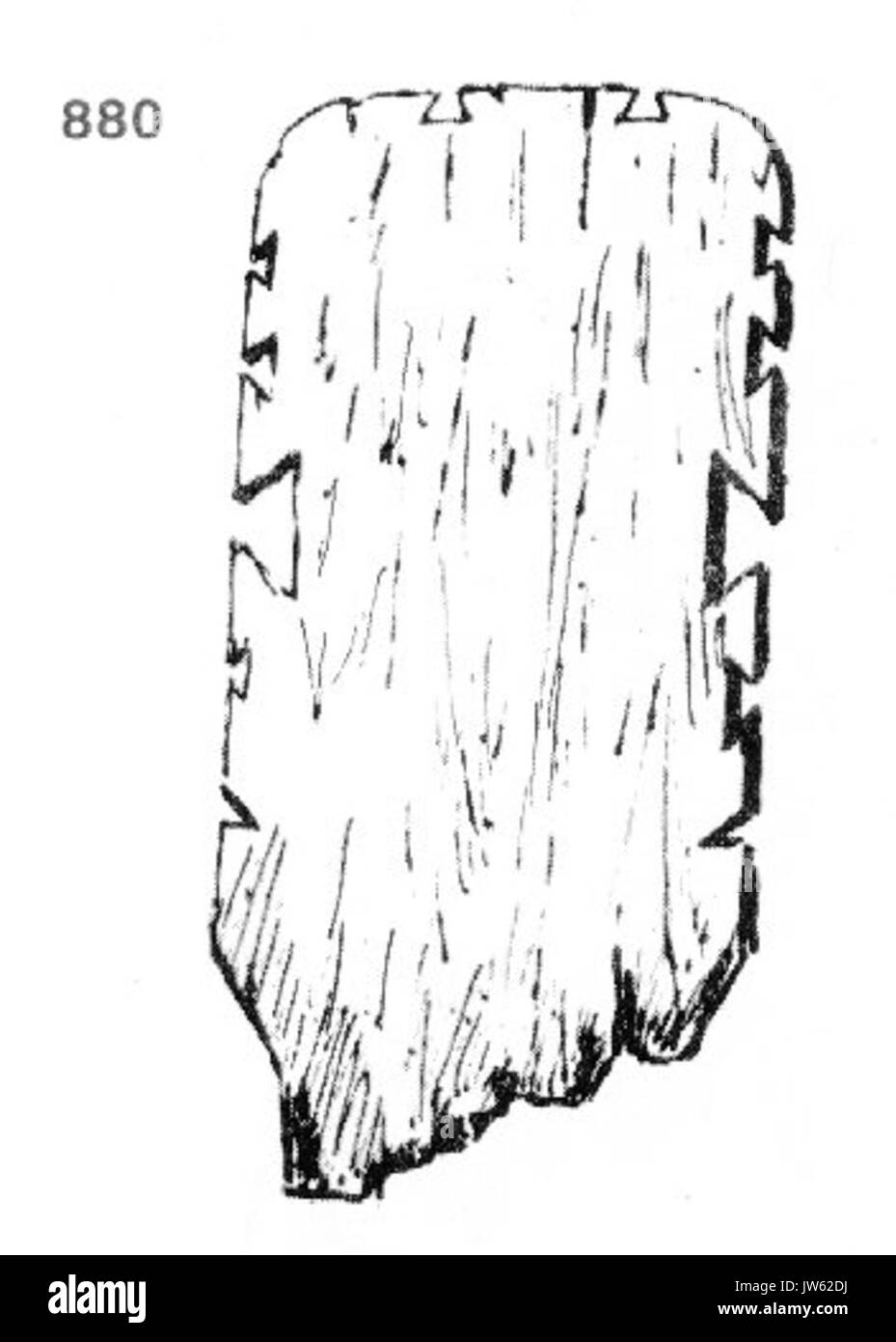 Ivan Enchev Vidyu folk bulgaro attraversa 880 Foto Stock