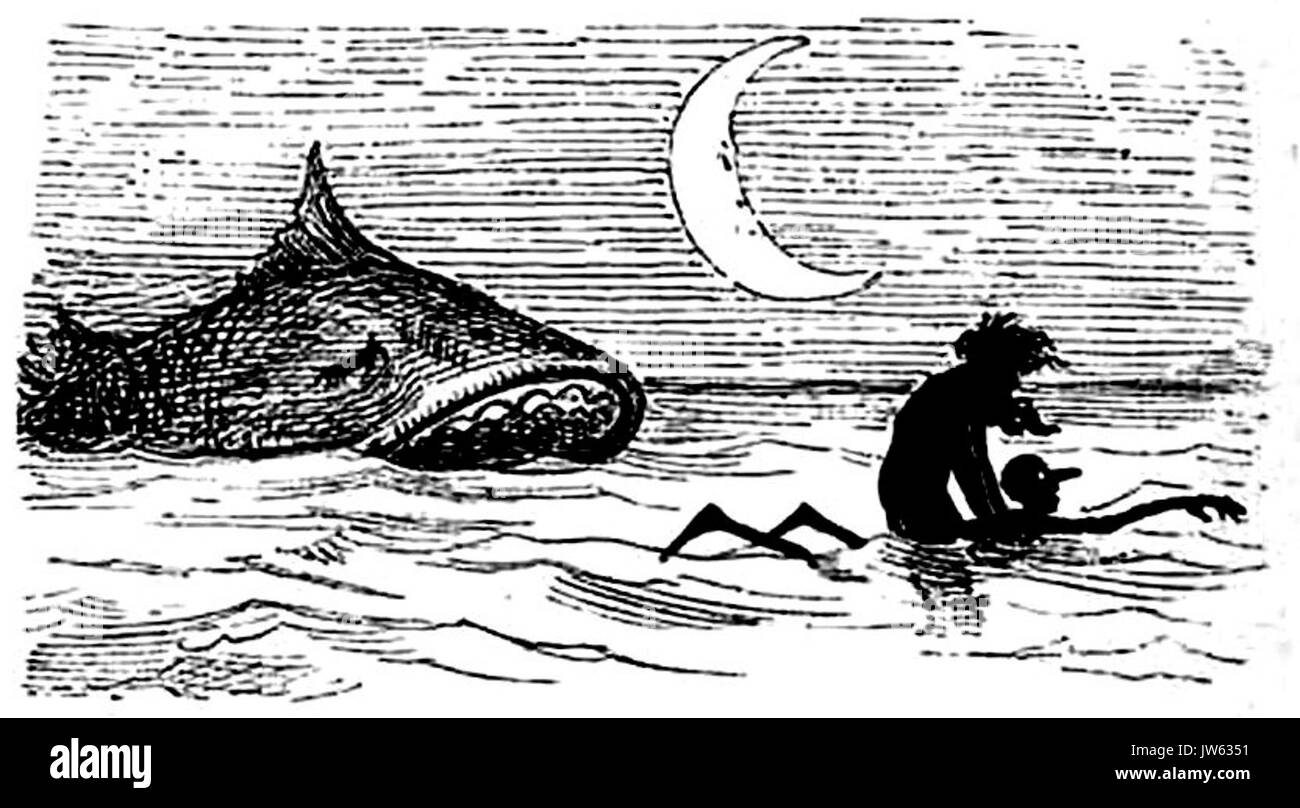 Collodi Le avventure di Pinocchio, Bemporad, 1892 (pagina 213 del raccolto) Foto Stock