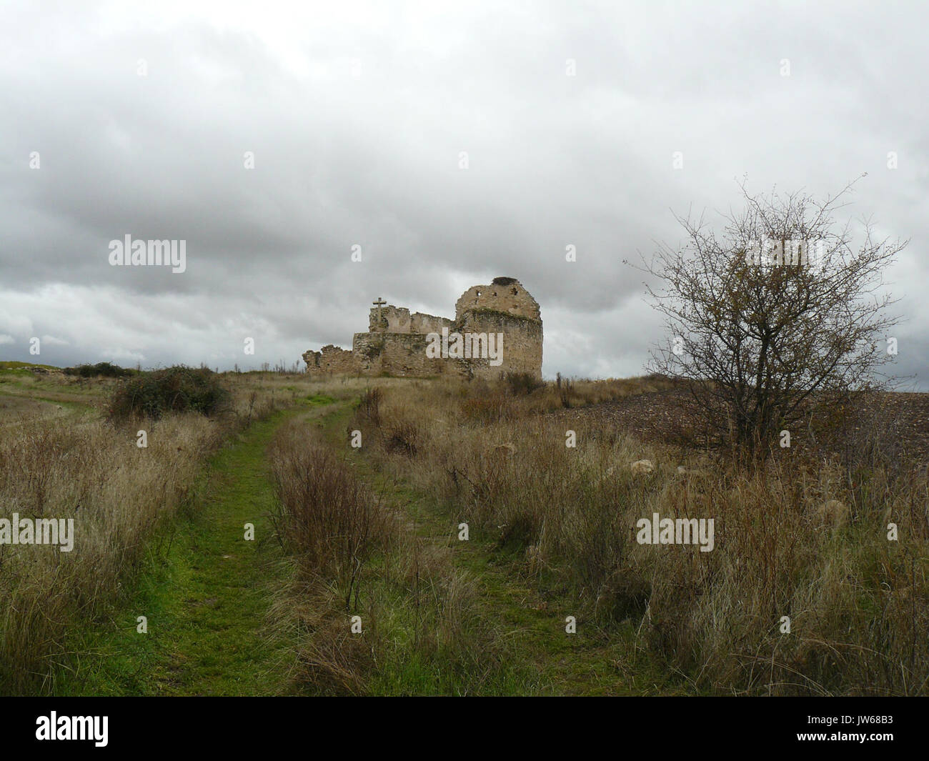 Vellosillo20121104133345P1160879 Foto Stock