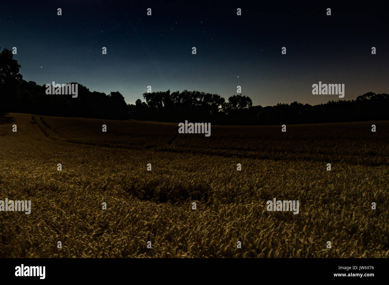 Leominster, UK. 11 Ago, 2017. LEOMINSTER - agosto 11: un campo di grano è illuminata dalla luce di una brillante gibbous calante luna dopo la mezzanotte. Il Perseid Meteor doccia è visibile in questo mese il picco alla fine del mese, sebbene alcune meteore può essere osservata ora. Una buona percentuale di queste meteore dovrebbe essere abbastanza luminosa per superare il riflesso di luna. Credito: Jim legno/Alamy Live News Foto Stock