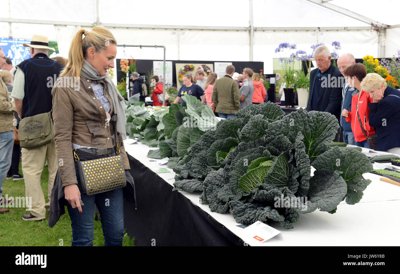 Shropshire, Regno Unito. 11 Agosto, 2017. Ai visitatori la visione presenta all'annuale Shrewsbury Flower Show in Shropshire. I due giorni della manifestazione è aperto oggi e Sabato. Credito: David Bagnall/Alamy Live News Foto Stock
