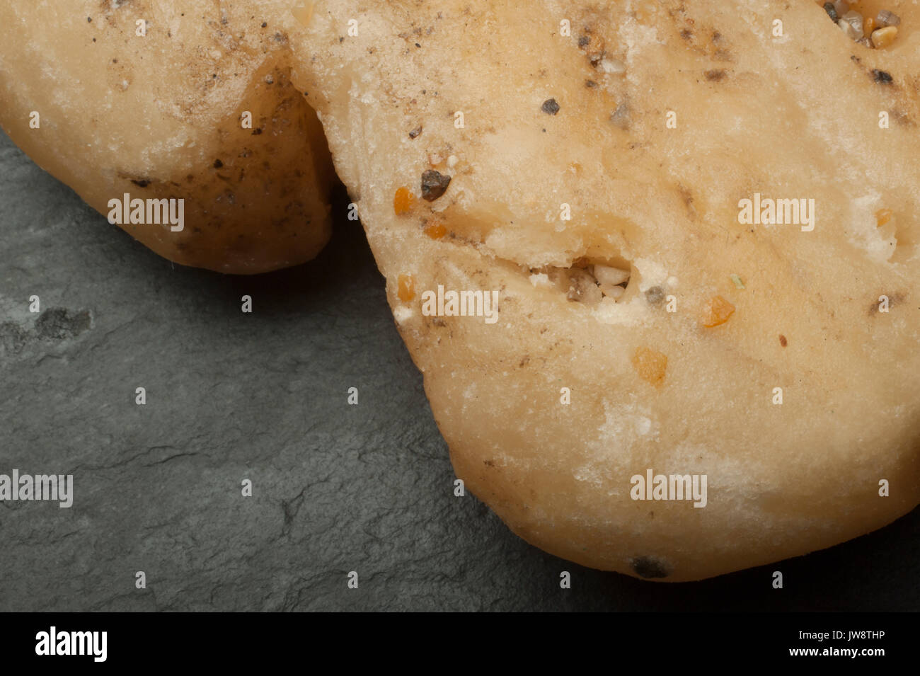 Ambergris, Capodoglio vomito dal Mare del Nord, estremamente raro trovare della costa del nord dell'Inghilterra, utilizzato nella fascia alta profumeria. Foto Stock