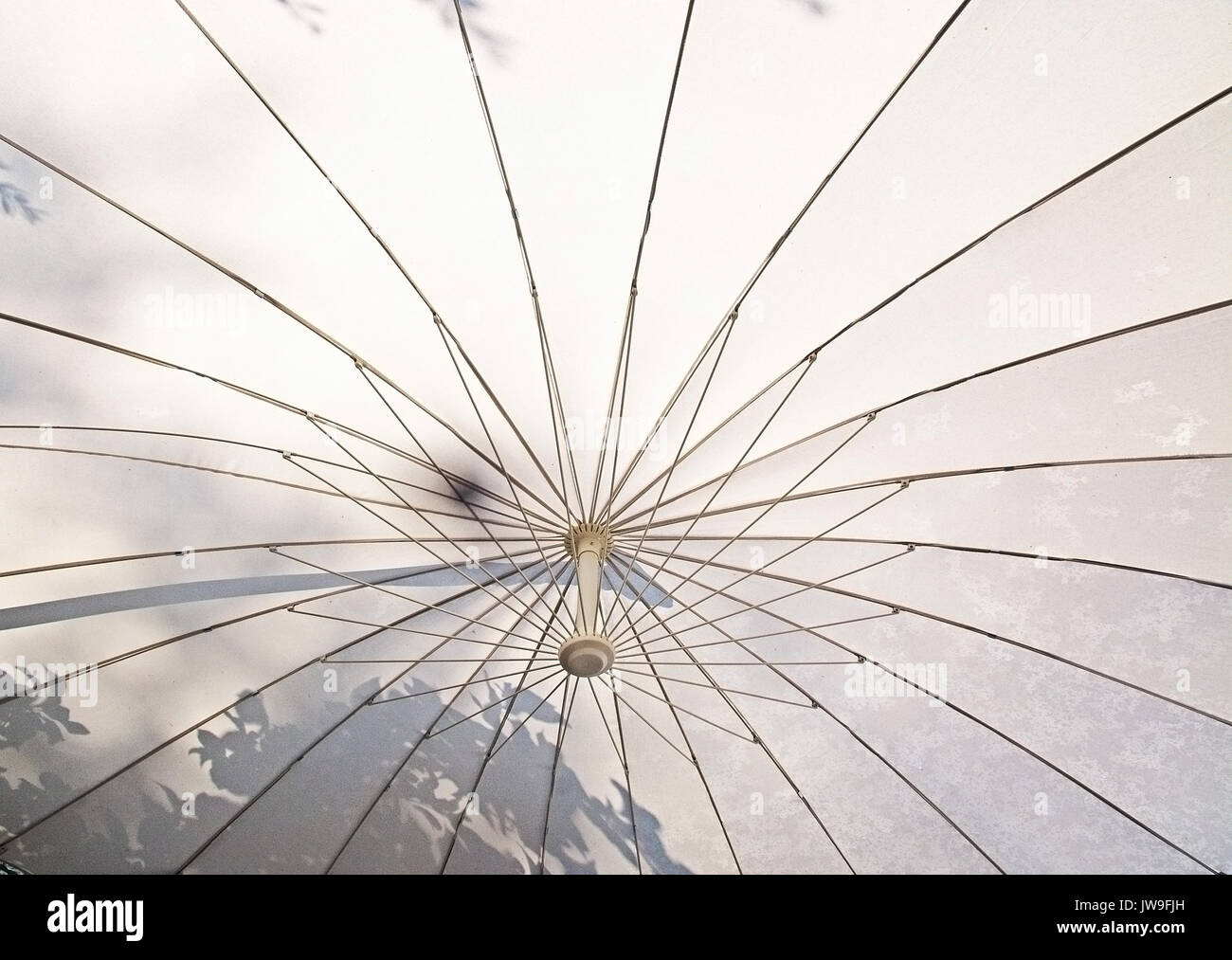 Sotto ombrellone bianco interno con travi metalliche e le ombre del fogliame. Foto Stock