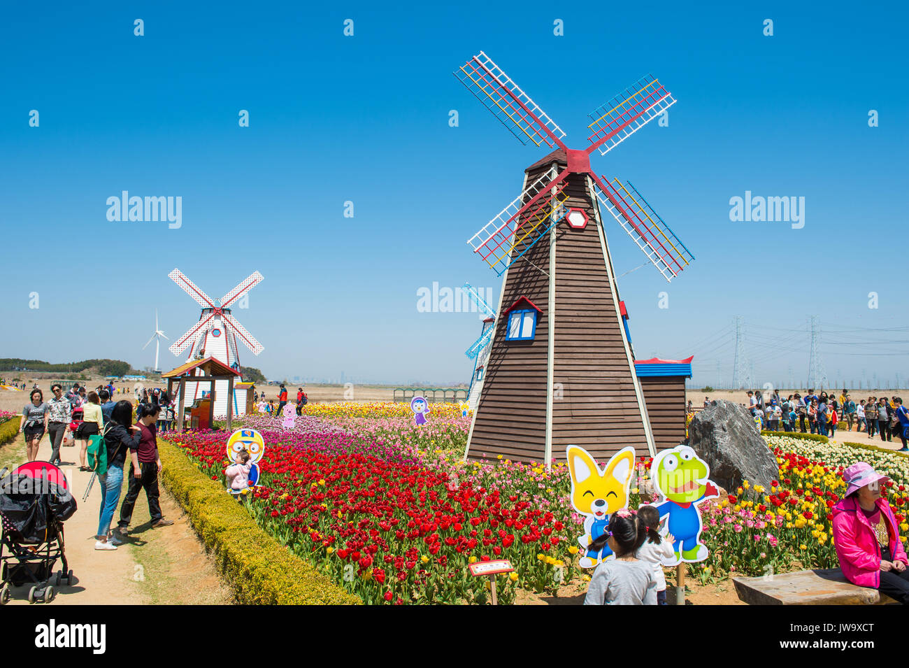 ANSAN,COREA - aprile 25 : Daebudo tulipani Festival è il più grande festival di tulipani in Corea.i turisti per scattare delle foto del bellissimo paesaggio intorno Daebud Foto Stock