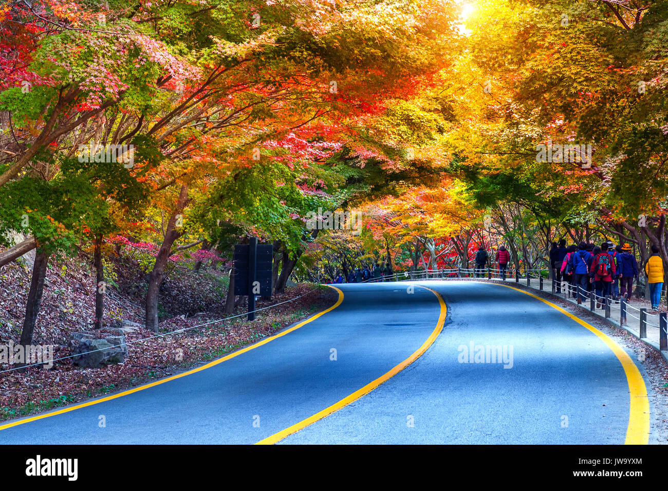 Autunno nel parco nazionale della Corea del Sud. Foto Stock