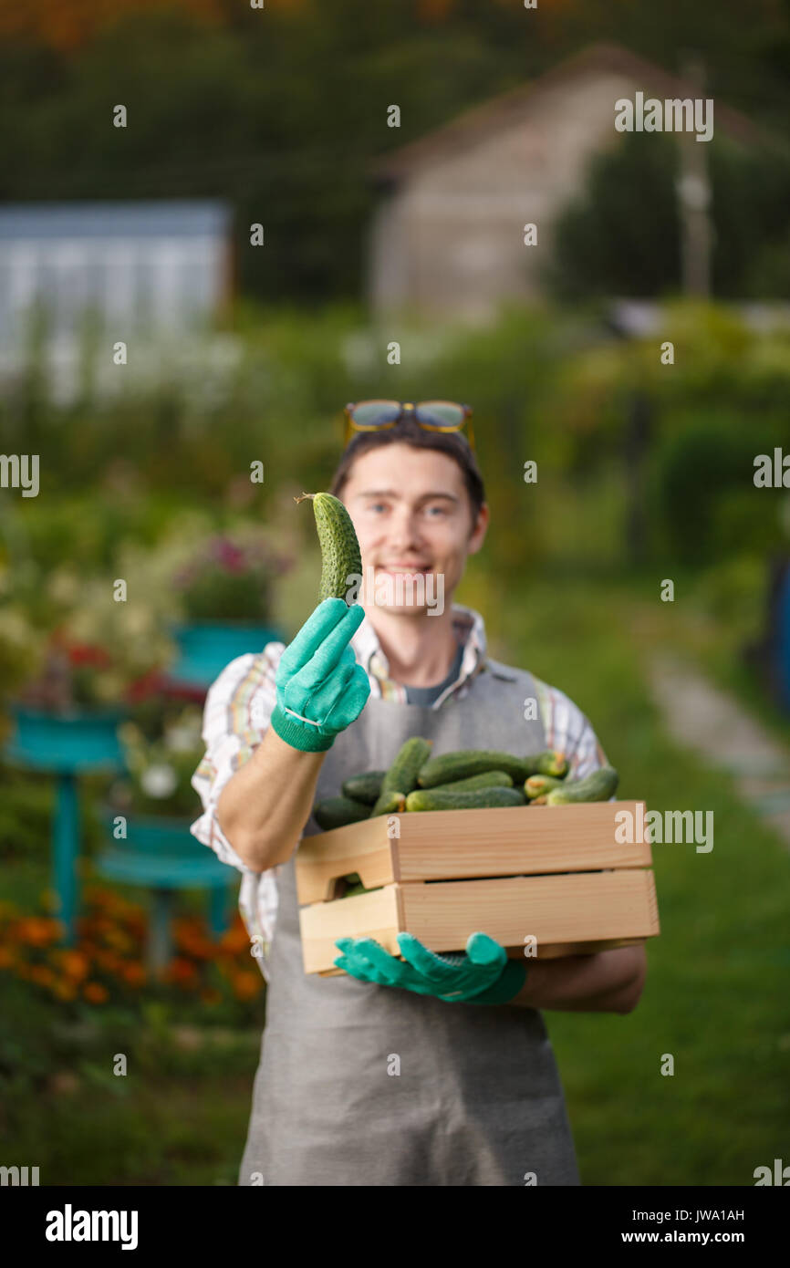 Ragazzo con scatola di cetrioli Foto Stock