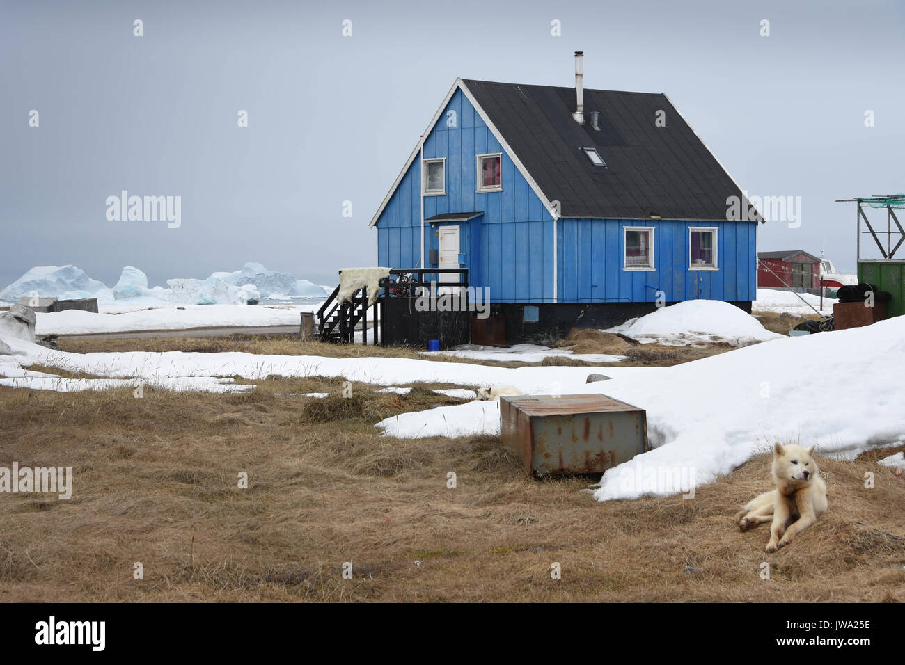 Graffiti su edificio scolastico in Nuuk, città capitale della Groenlandia Foto Stock