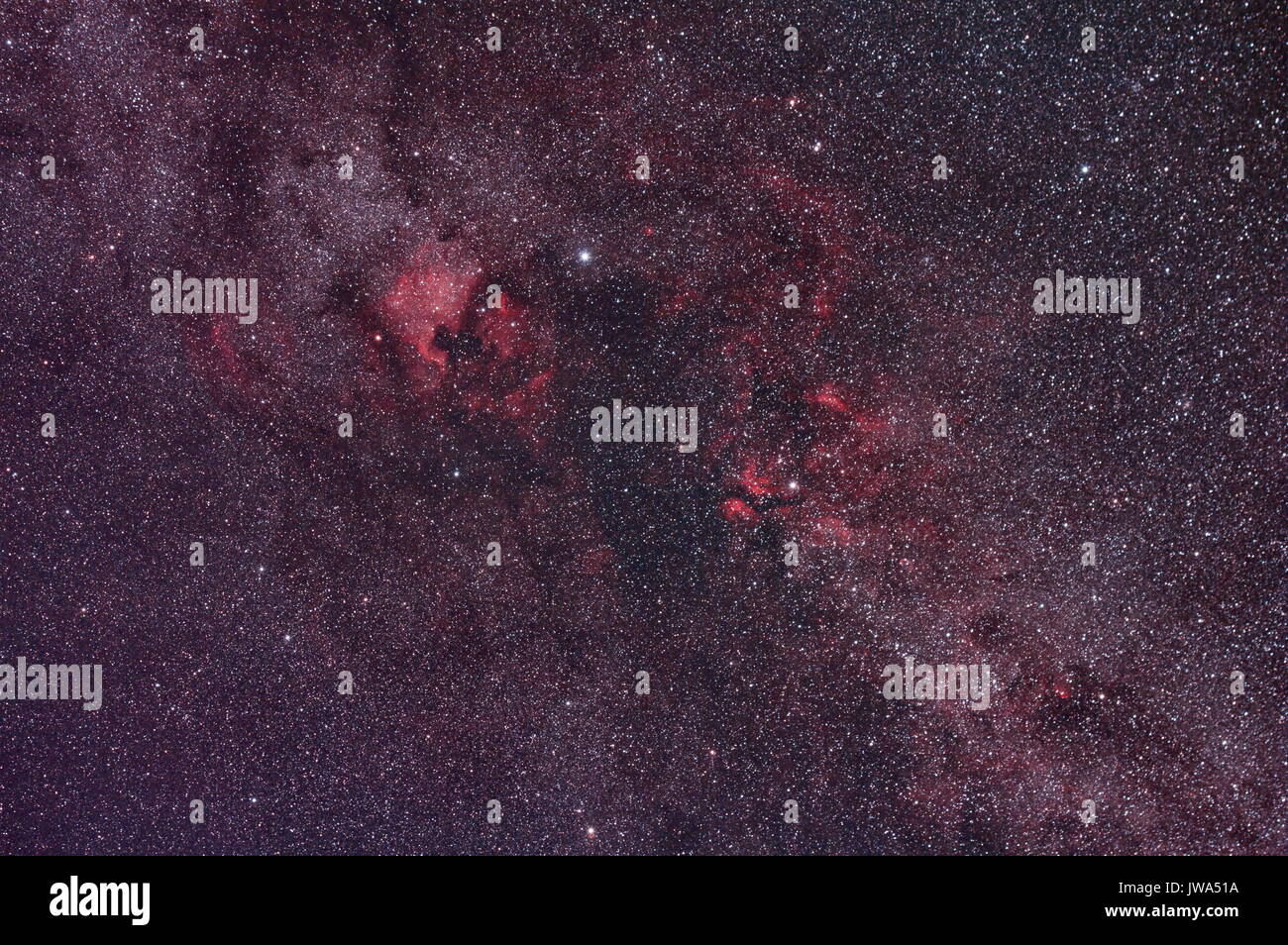 Nebulosa Nord America Ngc 7000 Immagini E Fotografie Stock Ad Alta nebulosa-nord-america-ngc-7000-immagini-e-fotografie-stock-ad-alta