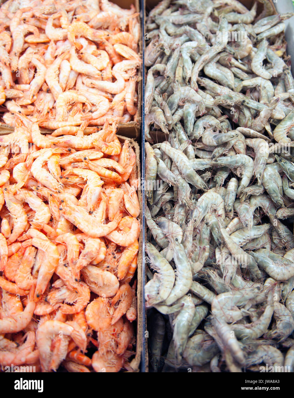 Cotte cotte e gamberi Foto Stock