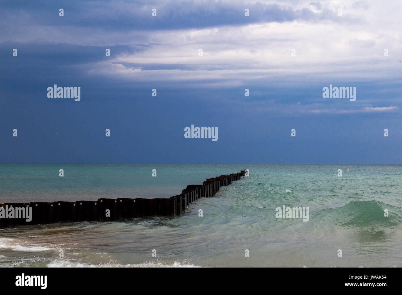 Foglie di banano Foto Stock