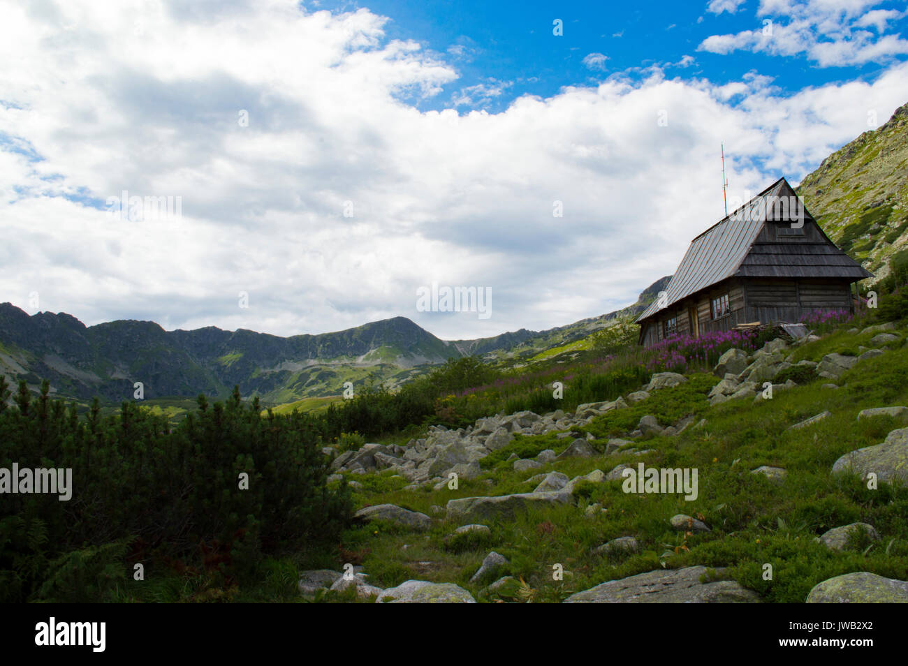 Nel Parco nazionale dei Tatra, Polonia Foto Stock