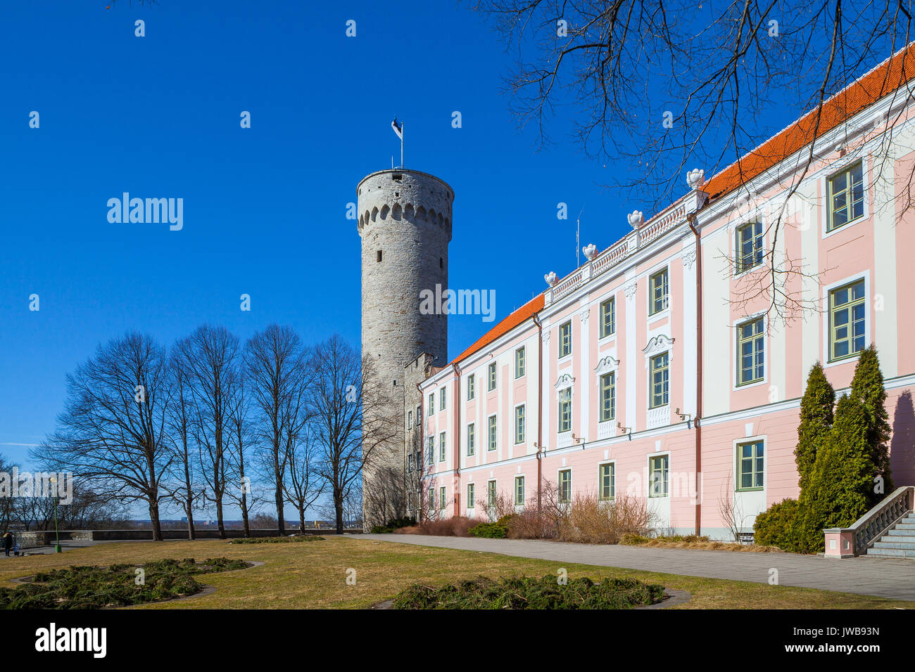 Lunga Herman (Pikk Hermann) torre sulla sommità a Tallinn in Estonia. Foto Stock
