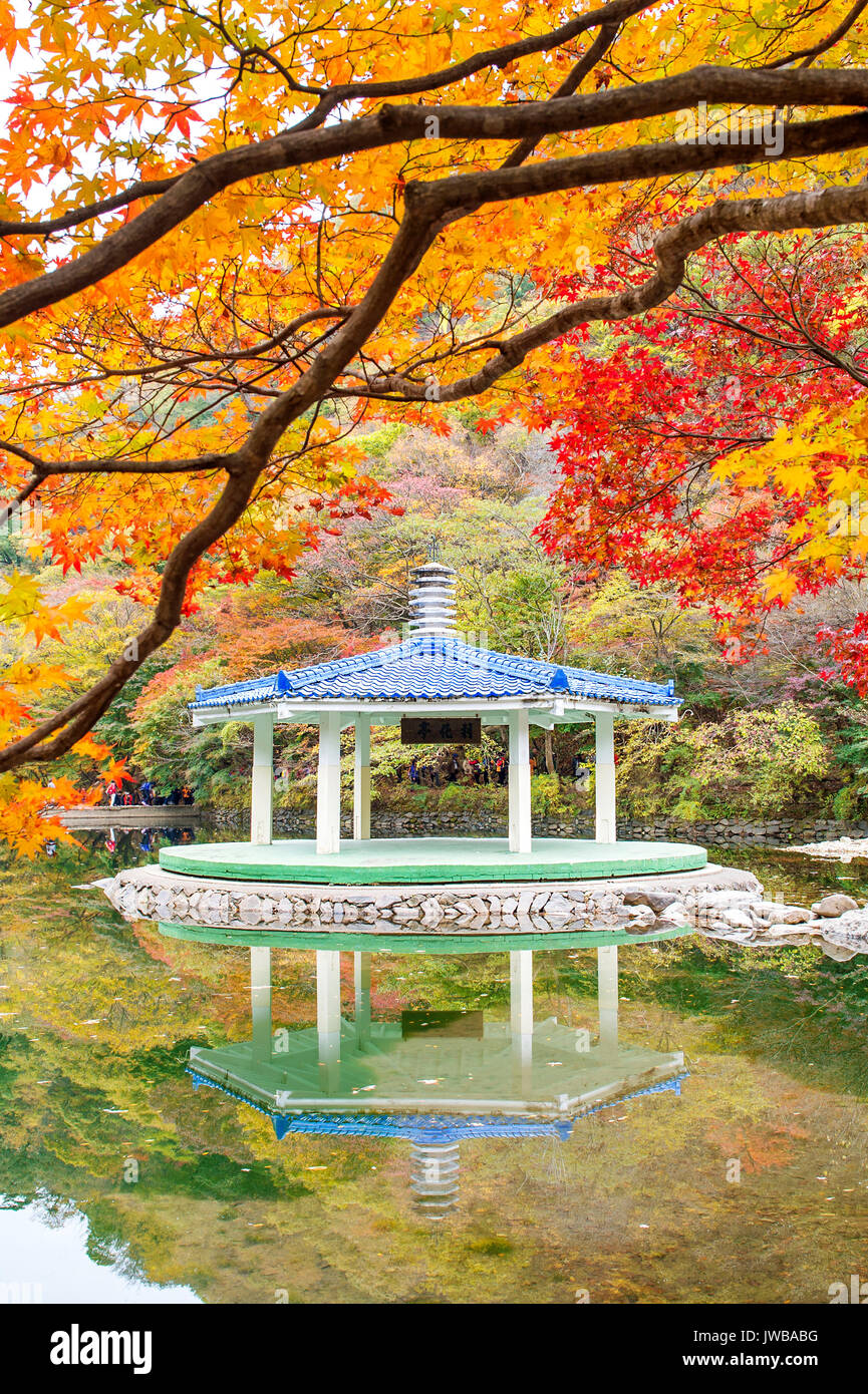 Naejangsan Parco Nazionale in autunno,Corea del Sud Foto Stock